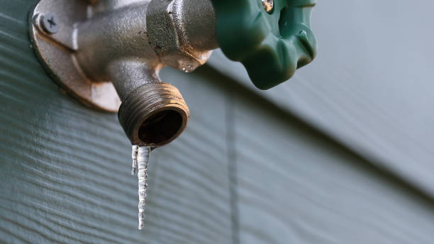 Best 24-Hour Plumber Near Me  in Pulaski, TN